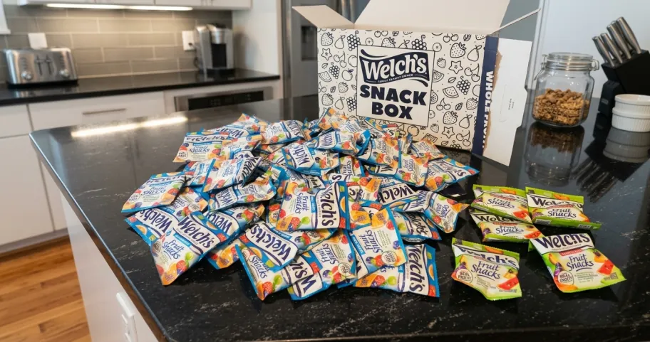 Welch’s Fruit Snacks 120-Count Snack Box