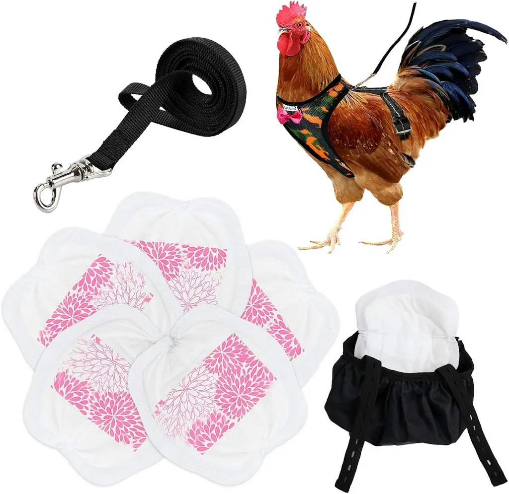 Adjustable Chicken Harness w/ Leash & Diaper Bag