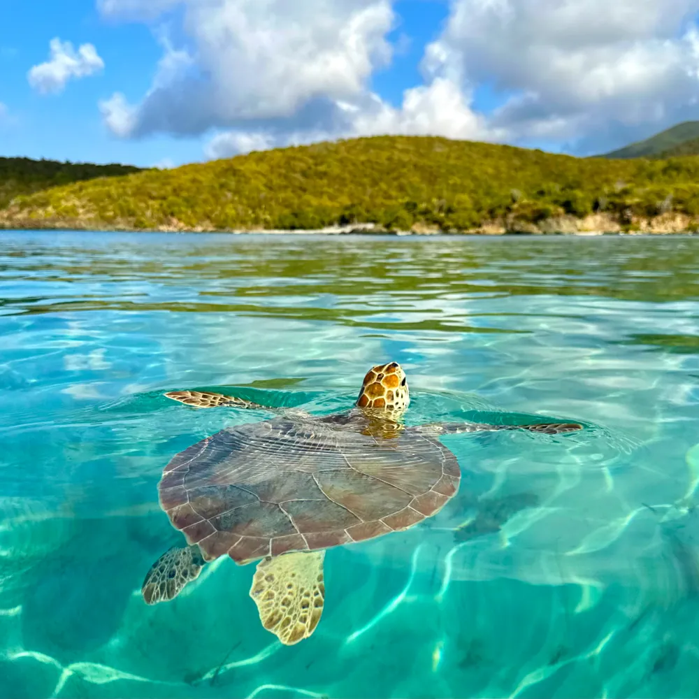 Norwegian 7-Night Caribbean Cruise for From $1,638 for 2