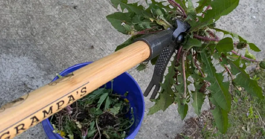 Grampa’s Weeder