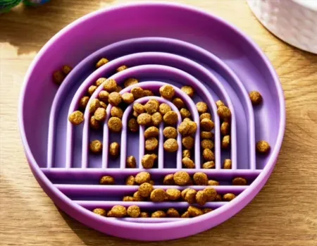 Vibrant Life Silicone Slow Feeder Bowl