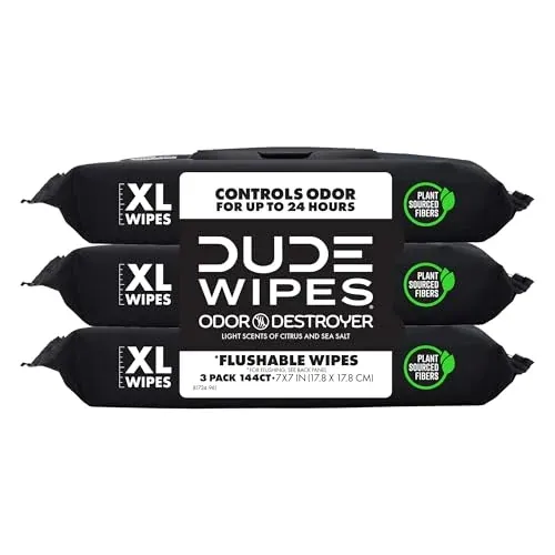 DUDE Wipes Odor Destroyer Flushable Adult Wet Wipes 144-Count