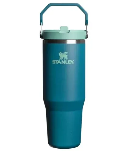STANLEY IceFlow 2.0 Flip Straw Tumbler 30-Oz
