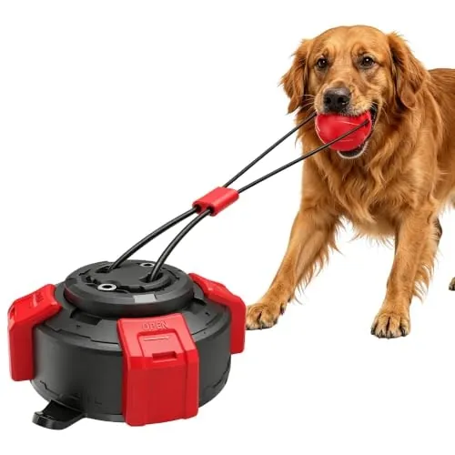 Lynwave Suction Cup Dog Tug Toy
