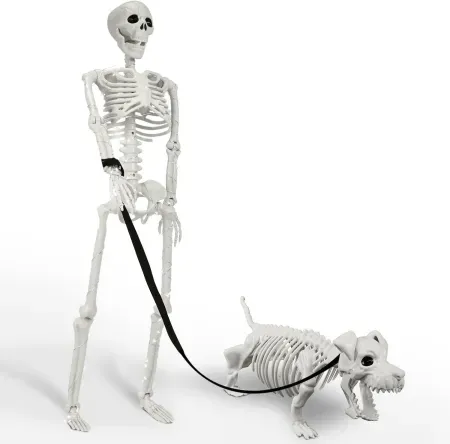 IDEAALS Lighted Human & Dog Skeleton Halloween Decor