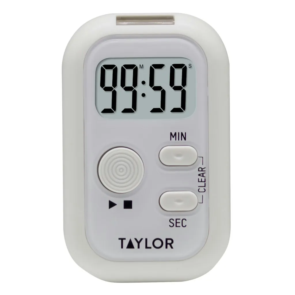 Taylor Digital Timer