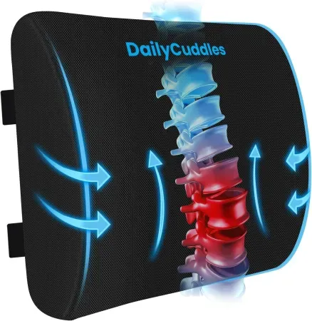 DailyCuddles Memory Foam Lumbar Support Pillow