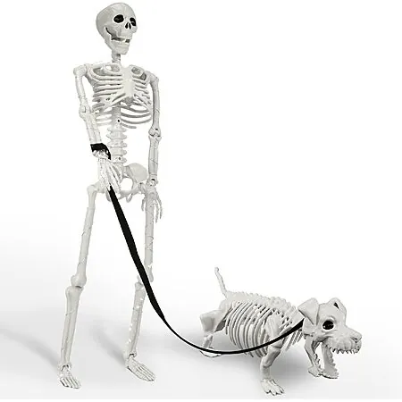 IDEAALS Lighted Human & Dog Skeleton Halloween Decorations