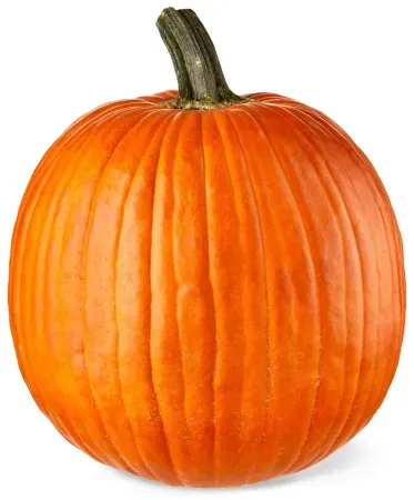 Fresh Carving Pumpkin