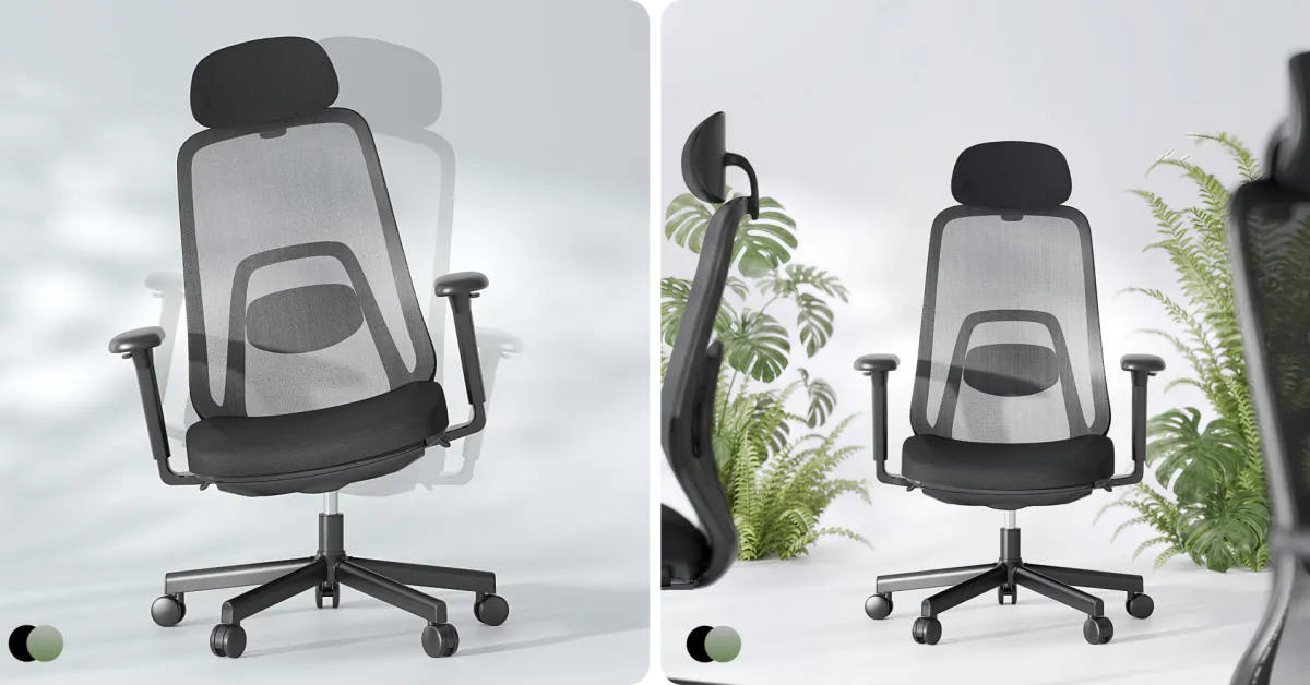 FlexiSpot Balanso Ergonomic Office Chair