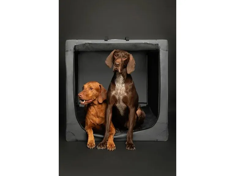 Noah & Paw Collapsible Travel Dog Crate w/ Pet Mat & 2 Storage Pockets