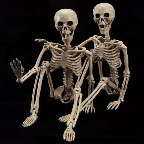 2-Pack 39.3" Full Body Realistic Posable Skeleton with Movable Joints, Unlighted
