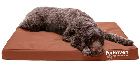 Furhaven Large Orthopedic Dog Bed w/ Washable Cover