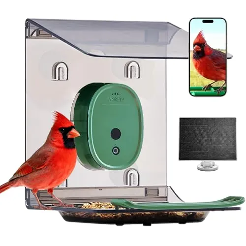 Smart Bird Feeder with 2K UHD Video Camera Solar Powered