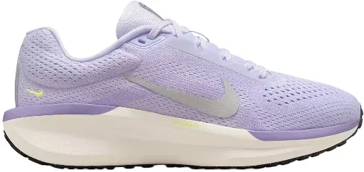 Nike Women's Winflo 11 Running Shoes (Purple/Silver)