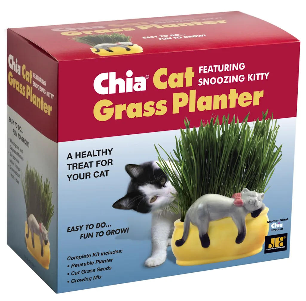 Chia Snoozing Kitty Cat Grass Planter