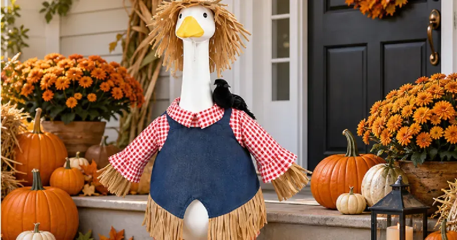 Porch Goose Scarecrow Outfit