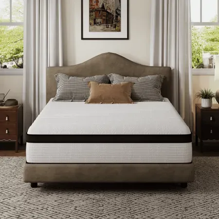 Avenco Whisper 12" Queen Hybrid Mattress in a Box