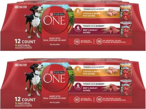 Purina ONE 13-oz. SmartBlend Dog Food 24-Pack