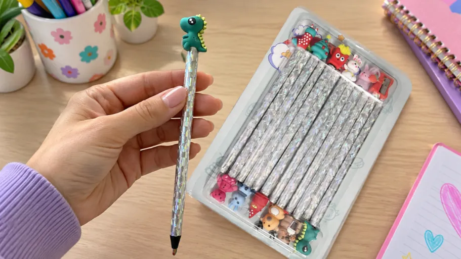 FilmHOO 12-Count Rainbow Colored Pencils