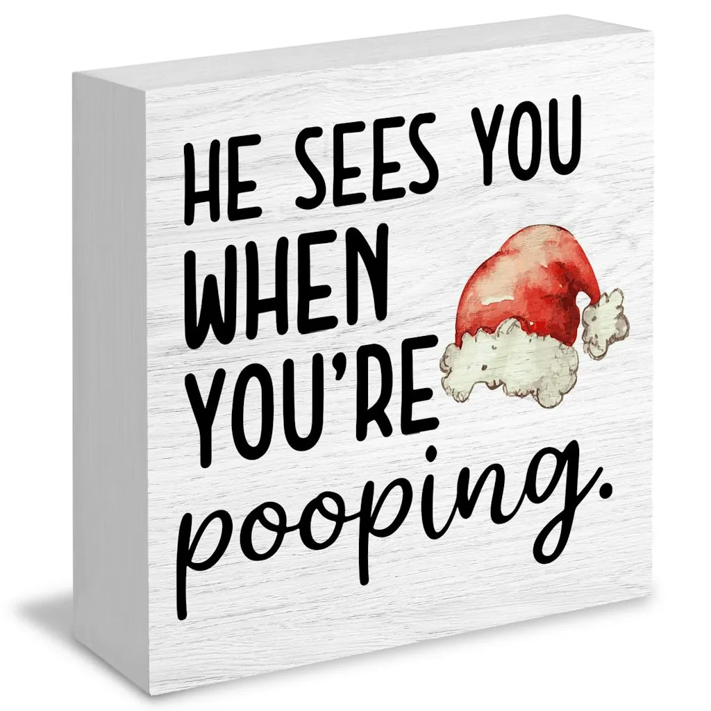 He Sees You When You're Pooping Box Sign