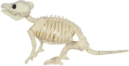 Red Shed 5-inch Baby Opossum Skeleton Halloween Decoration