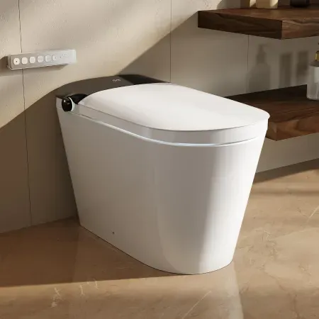 DeerValley 1000g MaP Flush Smart Toilet