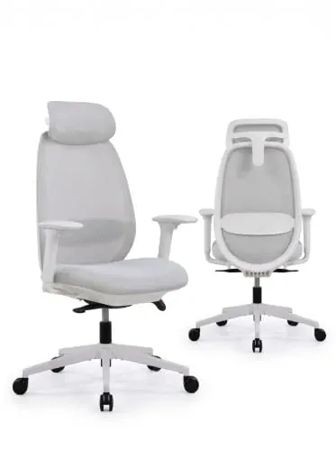 OTTUNI Arix Ergonomic Office Chair