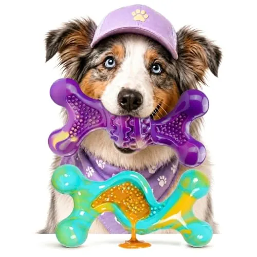 Indestructible Dog Toys for Aggressive Chewers 2-Pack