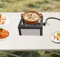 Outdoor Double Burner Propane Camp Stove