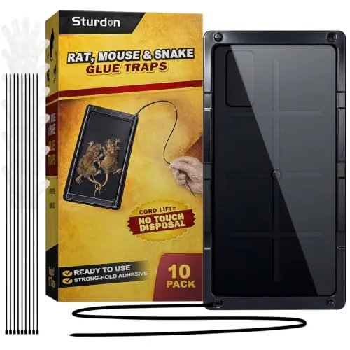 Large Rat Glue Traps for House Indoor 10-Pack