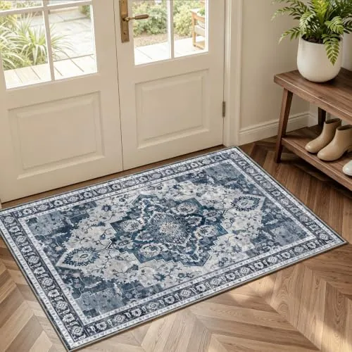 Washable Area Rugs 2x3
