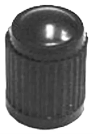 100-Pack Tire Mechanic's Resource Plastic Tire Valve Stem Cap