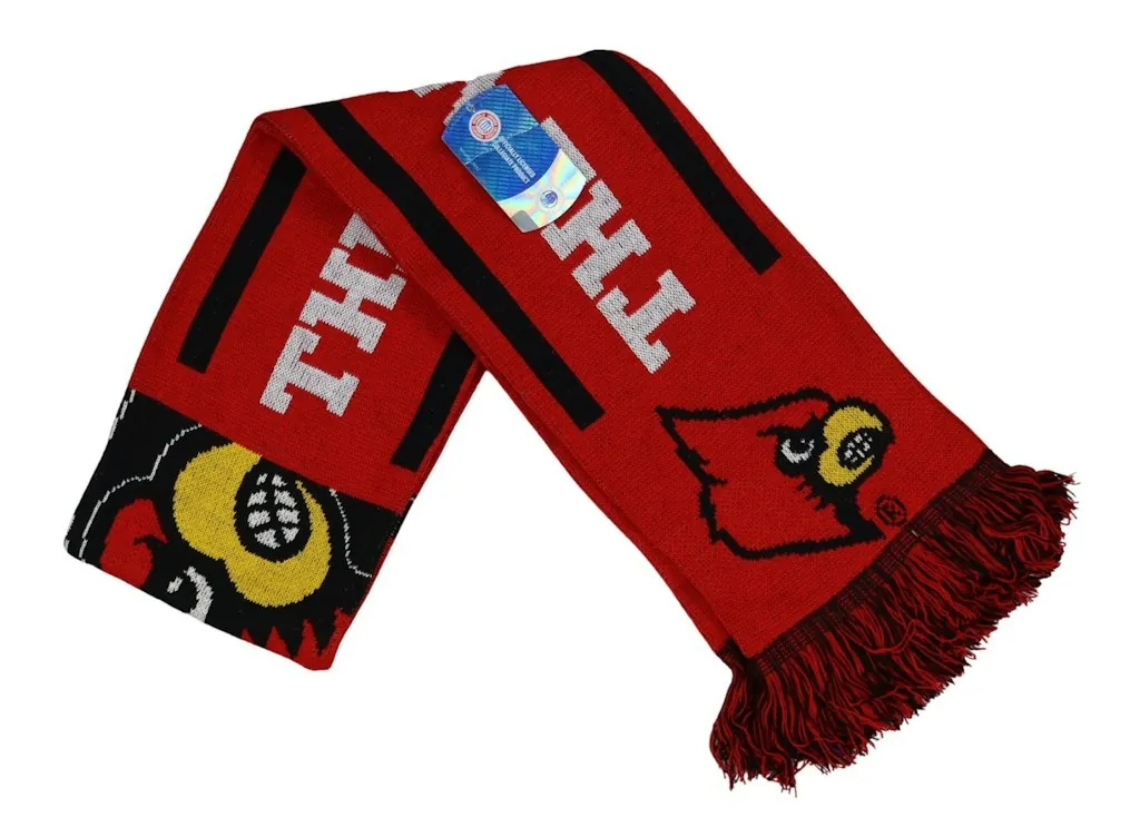 NCAA College Logo & Team Colors Knit Fringe Scarf