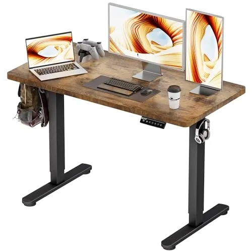 Bizum 48"x24" Electric Adjustable Standing Desk
