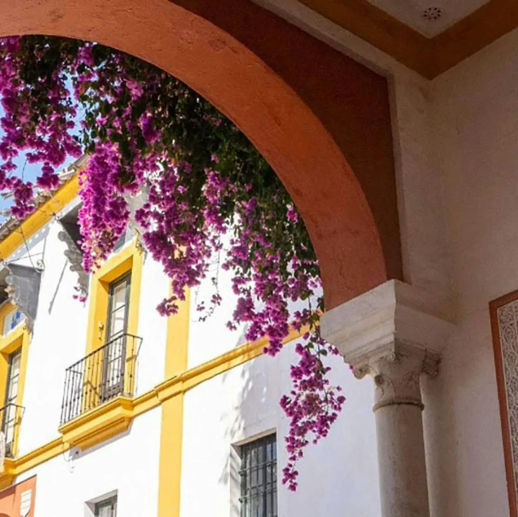 Scenic 10-Night Madeira & Balearic Isles Cruise for From $20,800 for 2
