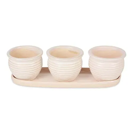 DII Ceramic Planter Collection Herb Pot Set
