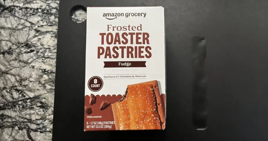 Amazon Grocery Frosted Toaster Pastries 8-Count – Fudge