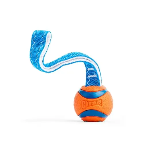 Chuckit! Ultra Tug Dog Toy – Small
