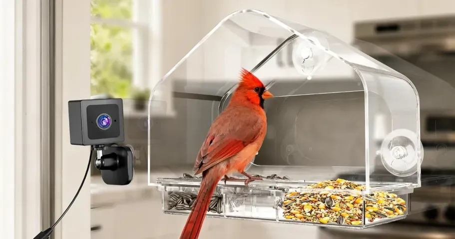 Smart Camera Window Bird Feeder