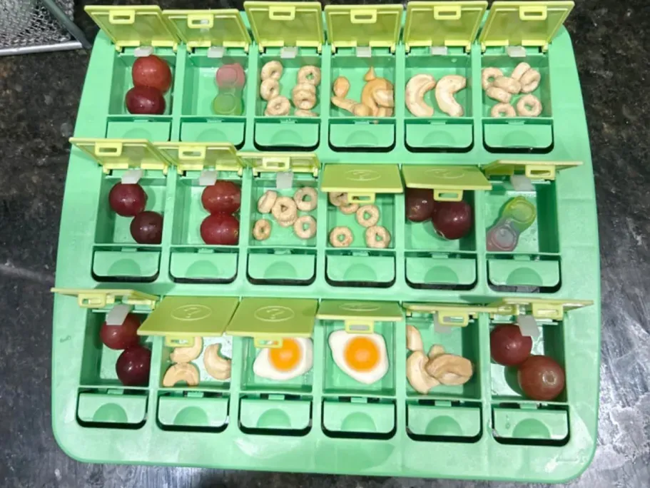 Genuine Fred Match Up Memory Snack Tray Game