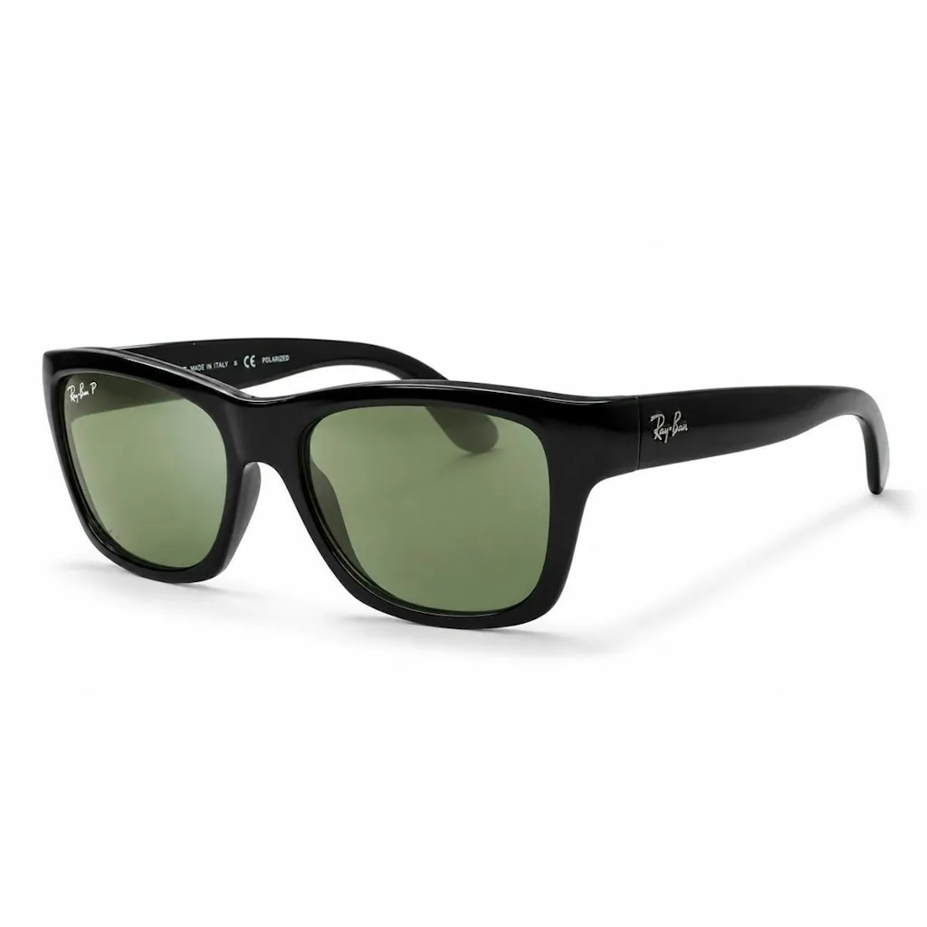 Ray-Ban Men's Wayfarer Polarized Sunglasses