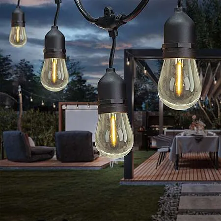 Feit Electric 48' LED Vintage Bulb Outdoor String Lights