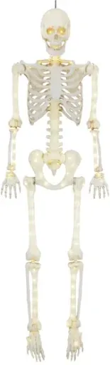 5-foot Poseable LED Illuminated Skeleton