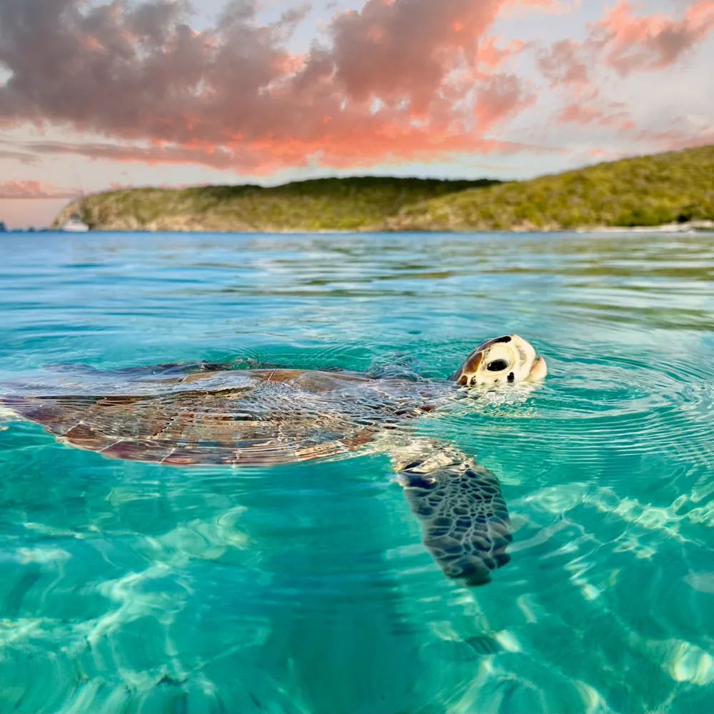 Norwegian 7-Night Caribbean Round-Trip Cruise From Miami for From $1,118 for 2