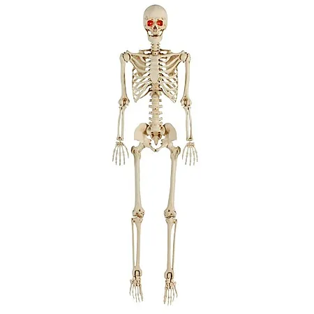 5' LED Pose-N-Stay Skeleton