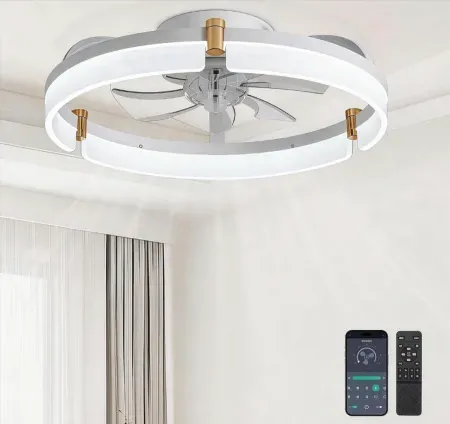 Diamondforge 20'' Ceiling Fan Fandelier w/ Lights, Remote Control