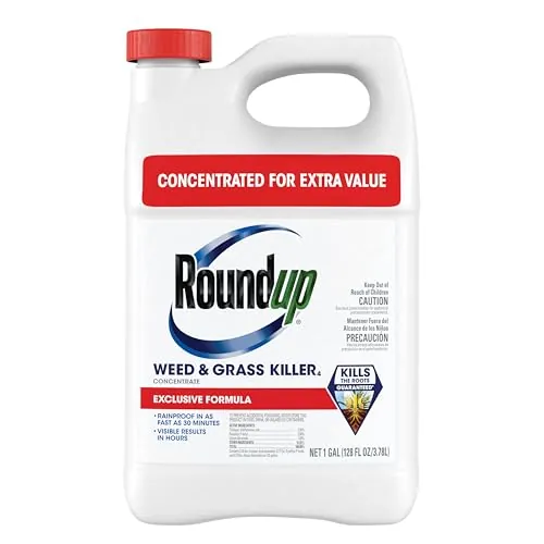 Roundup Weed & Grass Killer4 Concentrate 1 Gallon