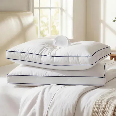 2-Pack zibroges Goose Down Gusset Pillow w/ Inner Aerogelfil Layer
