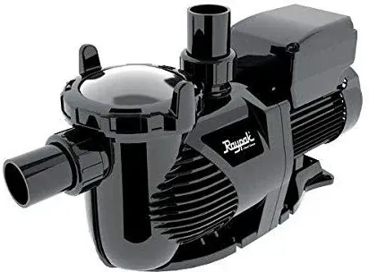 Raypak Protege 1.5 HP Variable Speed Above Ground Pool Pump